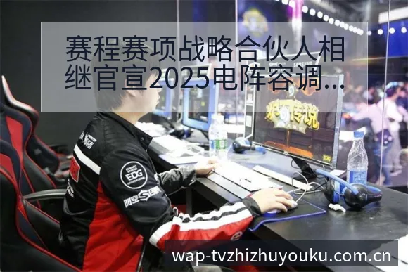 赛程赛项战略合伙人相继官宣2025电阵容调整影响分析与排 - 蜘蛛直播